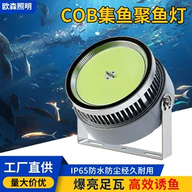 太阳能灯;投光灯;路灯