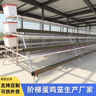 A型三层四层蛋鸡笼镀锌鸡笼全自动鸡笼养殖场家用阶梯式滚蛋鸡笼