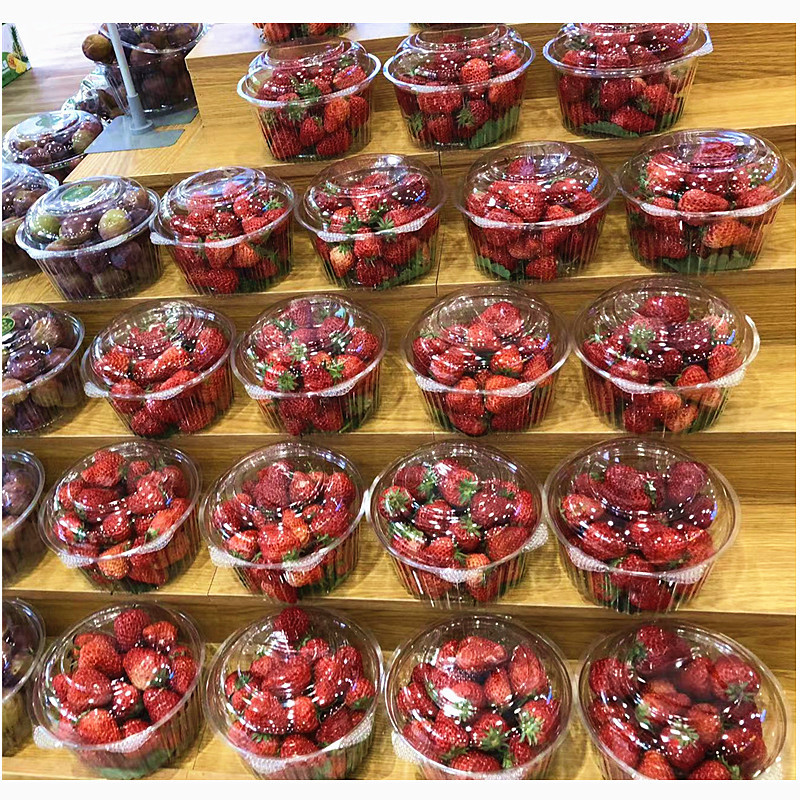 1.0kg Round Box Winter Jujube Crisper Disposable Plastic Transparent Watermelon Prune Box Mangosteen Round Fruit Packaging Box