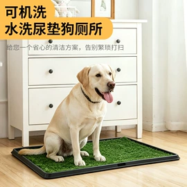 跑道草坪;狗厕所;宠物尿片
