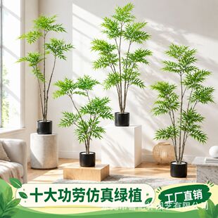 �����ʮ�󹦄ھGֲ�����S���ô����҃ȿ͏d�b��|�з����ٻ�