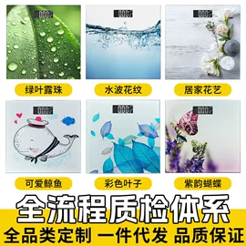 体重秤;厨房秤;手提秤