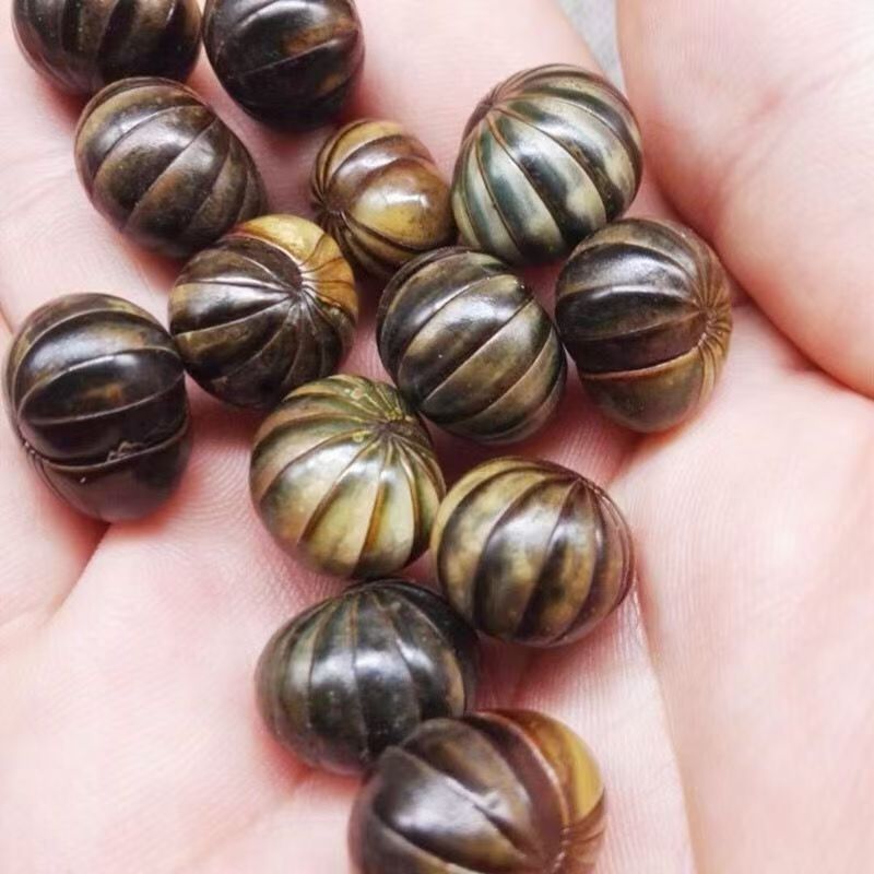 普太和.中药材批发 滚山虫 滚山珠 地罗汉 滚山珠虫  一件代发货