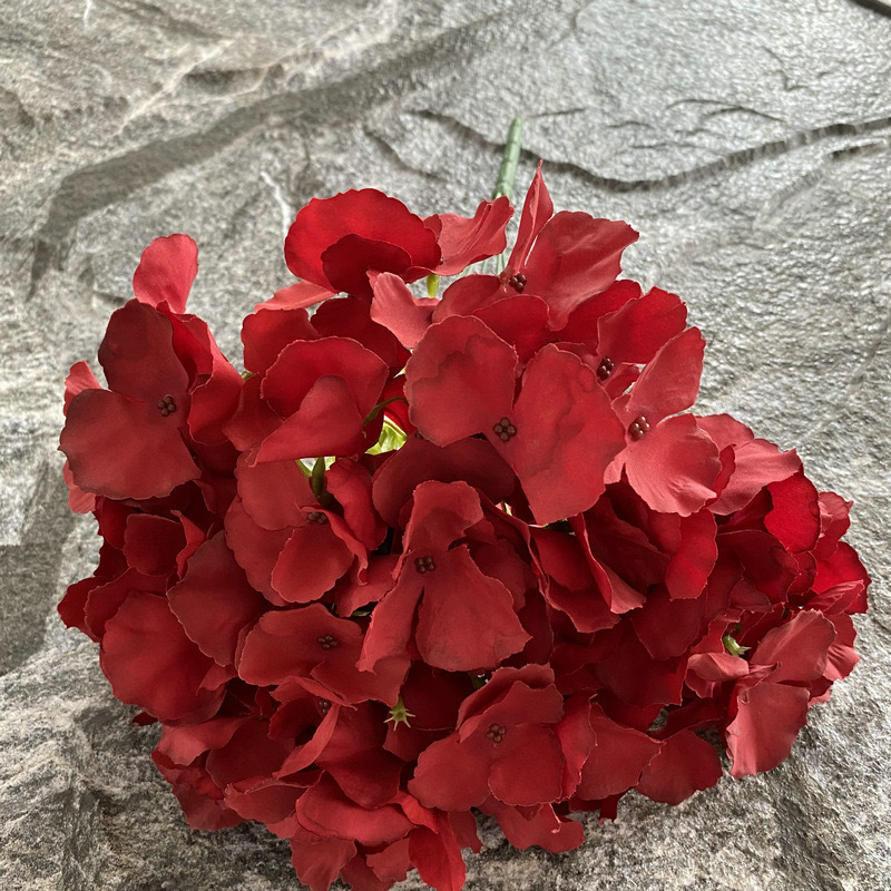 5갈래 수국 - 다홍색