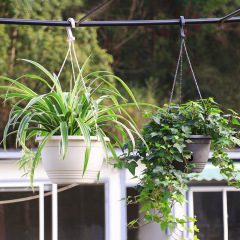 Hanging Orchid Pot Balcony Green Plant Plastic Hanging Planter Thick Round Water Storage Pot Gardening Planter Wholesale with Hooks