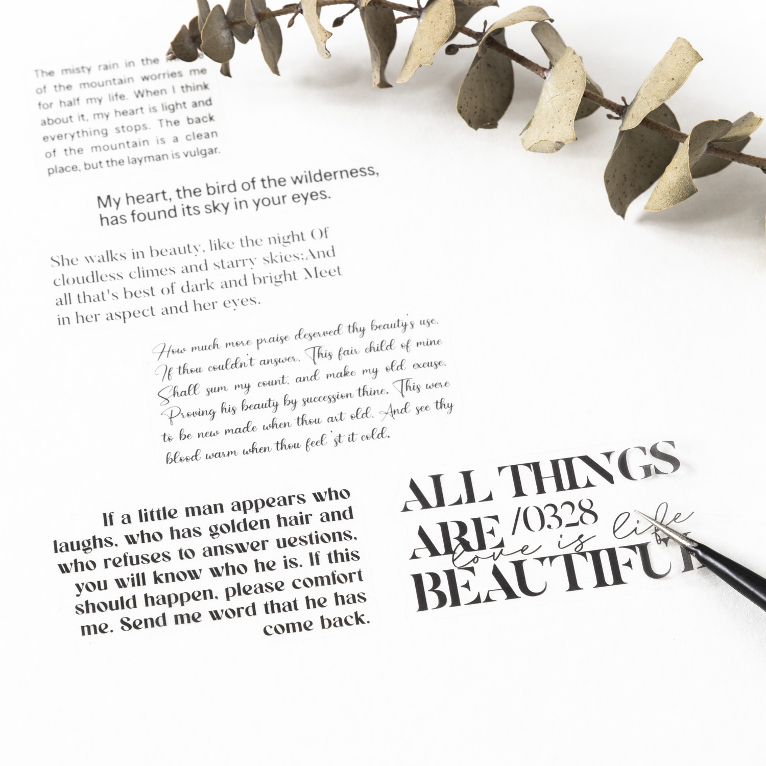 Tomate Girl PET cinta adhesiva cortada por matriz serie de cartas románticas Inglés cuentas DIY decoración circular 6 pegatinas