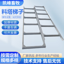 �Bֳ���������B�i���u���Z��σ�����˹������͸�����\��������