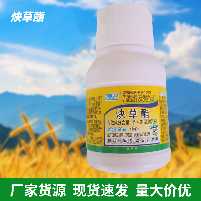 小麦田除草剂 安徽圣丹炔草酯燕麦 雀麦野燕麦看麦娘 小麦田禾本