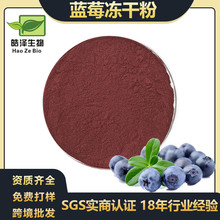 蓝莓冻干粉Blueberry freeze-dried powder跨境小包装蓝莓粉提取