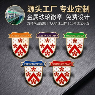 锌合金动漫烤漆珐琅金属徽章定制企业活动纪念学校毕业伴手礼胸章