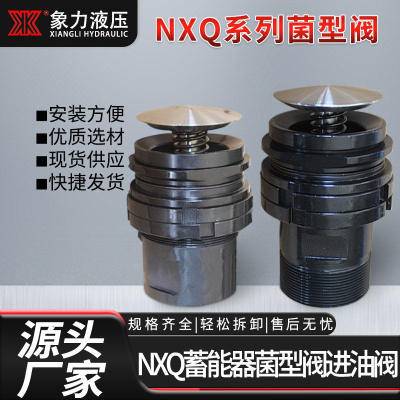 厂家直供NXQ蓄能器进油阀 菌型阀蓄能器组件 40L螺纹法兰型进油阀