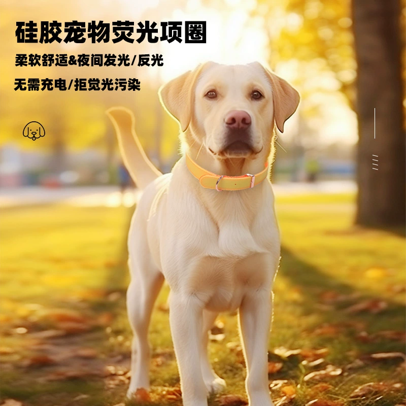 Amazon новый питомец светящийся флуоресцентный ошейник