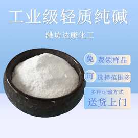 工业级轻质纯碱 99含量工业用轻质碳酸钠 现货纯碱批发厂家