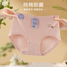 �����YС����Ůʿ��ѝ2025�¿��H�w�����޲����n10A�����d����ѝ