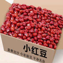 ¶¼tСttƤ{tƤɳݰཱུr