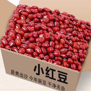 �������¶����¼tС���t���tƤ���{�tƤ��ɳ�����ݰ��ཱུ�r