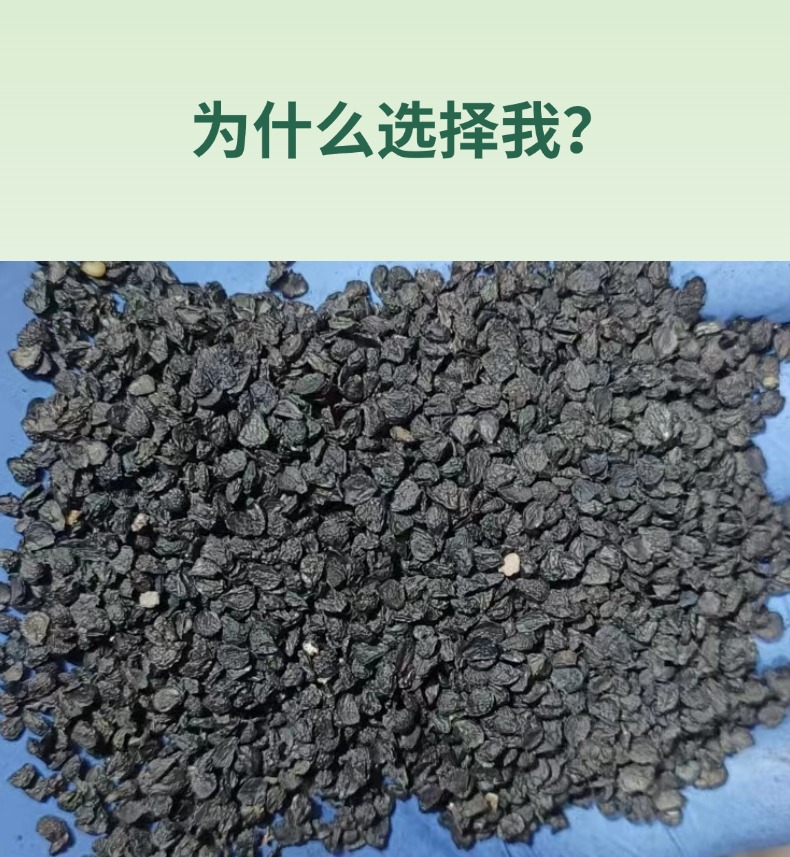 Dried Chinese Chive Seeds Jiu Cai Zi 500g Northeast China New Crop key features