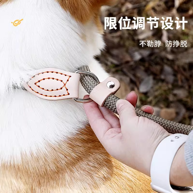 Correa de perro P collar de cadena Golden Retriever Cadena de perro pequeño mediano anti-rotura a prueba de explosiones ponche Corgi perro caminando cuerda