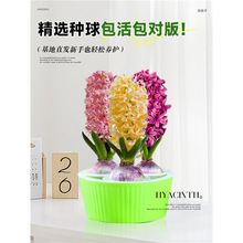 �L���ӷN��ˮ��ֲ���҃Ⱥ��B���������׻��ļ����������L����ˮ�B