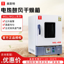 天津泰斯特WGL/WGLL系列实验室工业 300度烘箱电热恒温鼓风干燥箱