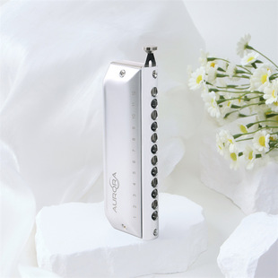 Magician Conjurer 12-Hole Chromatic Harmonica Accessories Professional Performance Classy Musical Instrument Blowing Tube Factory Direct Sale