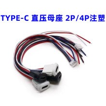 TYPE-Cĸ��2Pע�� ֱ�� ̨��typec�֙C��늿� 4�� ����usb c���b