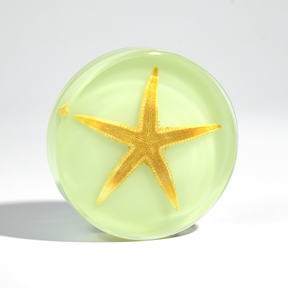 Luminous】Starfish