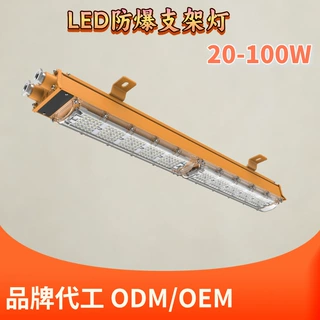 LED条形防爆灯一区防爆支架灯特种集装箱照明30-100W