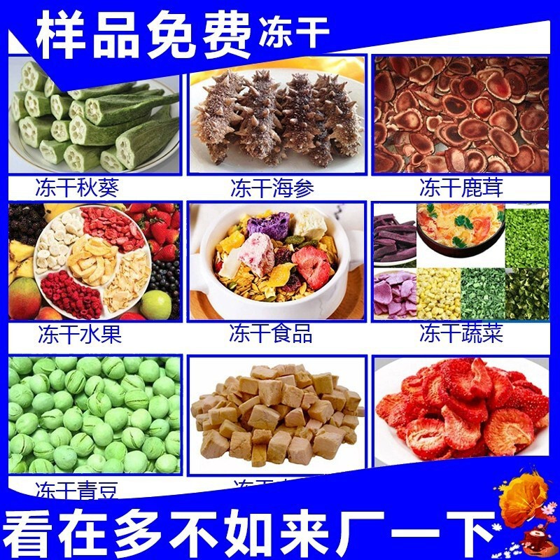 宠物食品真空冻干机干燥效率‌高 肉类冷冻干燥机厂 果蔬冻干设备|undefined