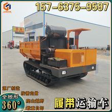 四不像履带运输车 3吨5吨自卸农用履带车图片 钢制履带车国沃