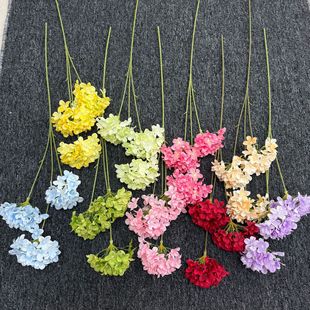 �¿���滨3�^�����Y���û��Ѽٻ��Ƶ��c�zӰ�����b廨ˇ