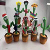 īﰢҡƵ綯⳪ѧ˵Dance cactus