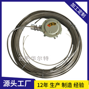 Walter MI armored mineral insulated heating cable ABMI-60W single-core double-core stainless steel heating wire 316