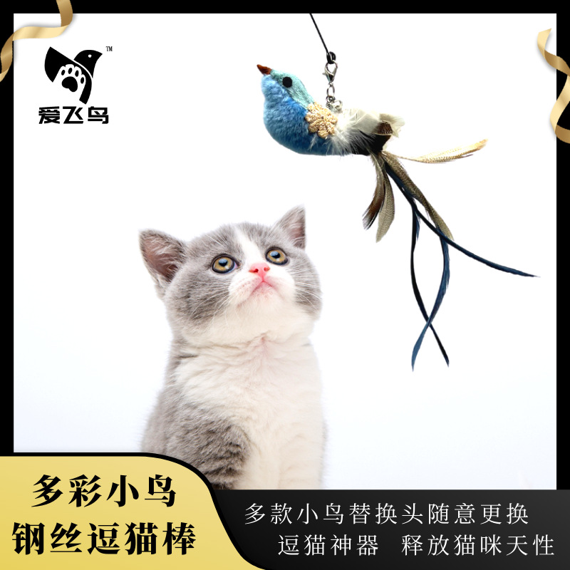 사랑 새 인기 깃털 새 고양이 재미 있은 스틱 액세서리 새 교체 머리띠 벨 물린 방지 자기 행복 고양이 장난감