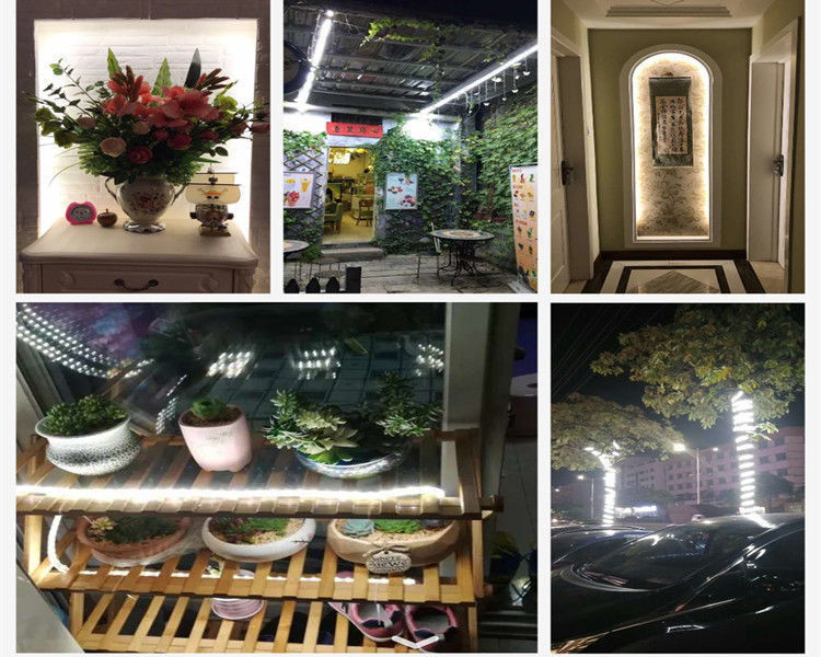 11ad56cf-42cc-4cfc-ba39-4eade86cecf2.jpe