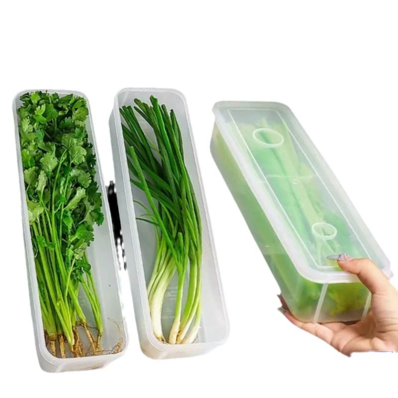 Herb & Noodle Storage Box, Multi-Size Fresh-Keeping Container, 25.5×7.5×5 cm (Chive Box)