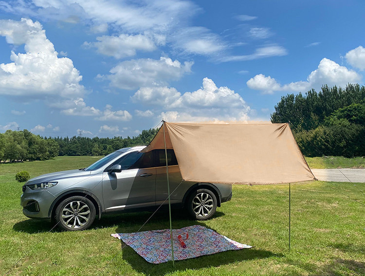 e0b299f6-1282-4021-8ec0-3e94e14cf8dd.jpe