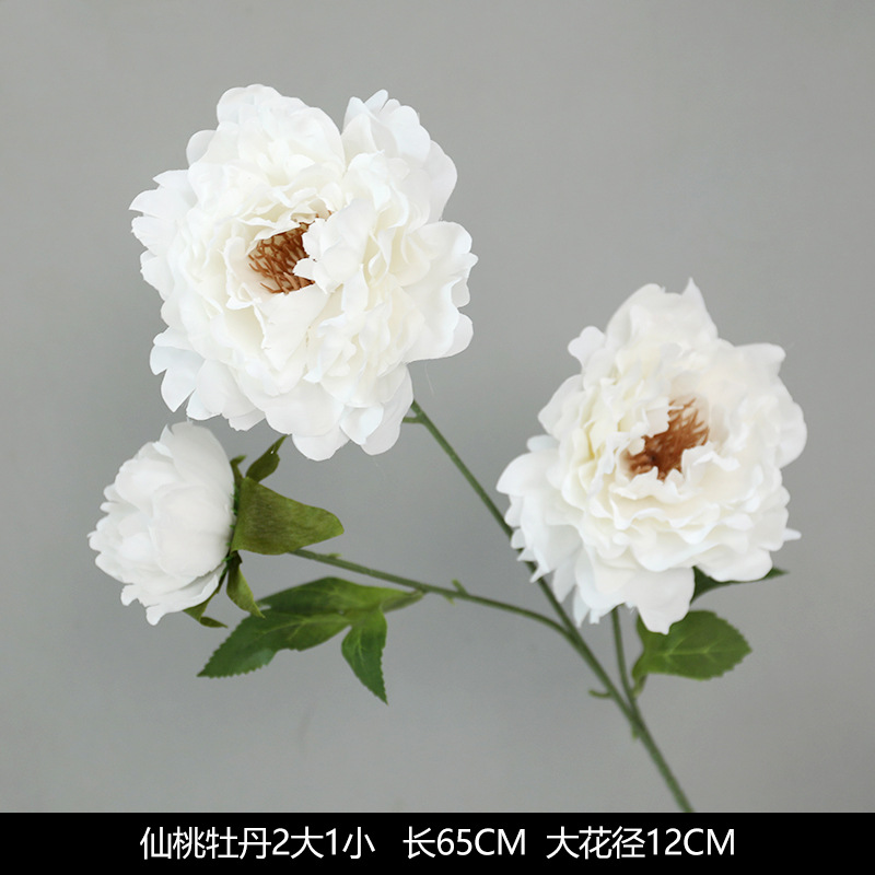 Xiantao Peony 2 big 1 small