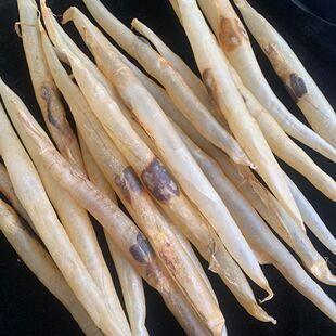 �Ŷ��~�z����z��ζ��؛�Ŷ����~�z�~�B