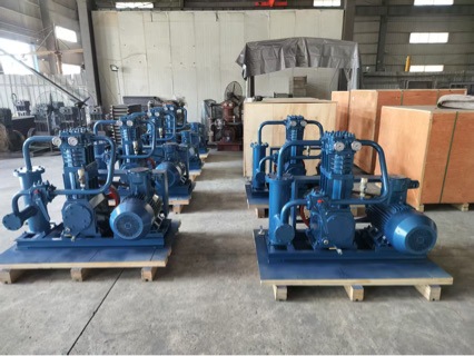 Zw0.8/10-16 Liquefied Gas Compressor Air Compressor Manufacturer's Special Offer for Special Gas Compressor Air Pump