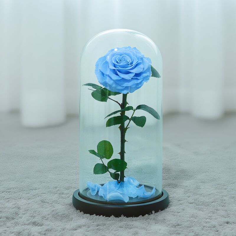 永生花玻璃罩大王子单朵玫瑰花七夕情人节女朋友生日礼物永生花|undefined