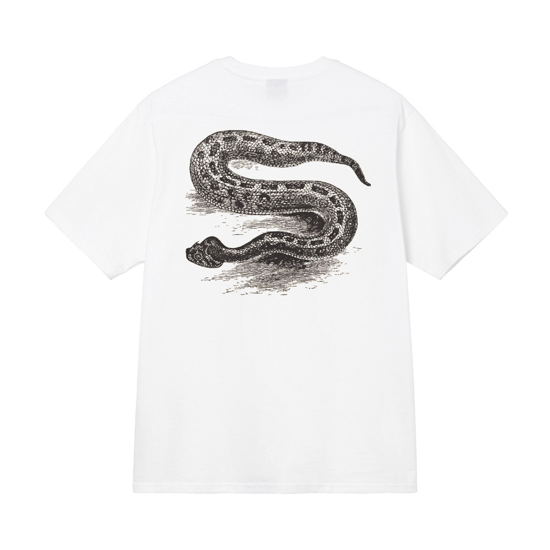 Python [white]