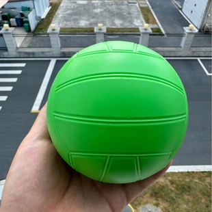 10cm�ľW��С����Gɫ�羳���R�d��ץ�������^�yԇ���S���l