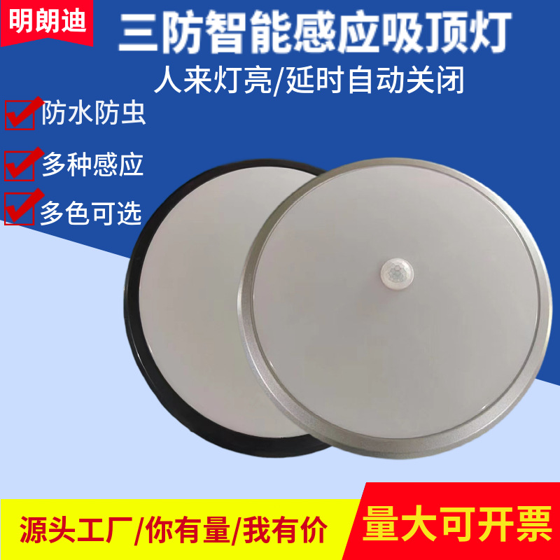 LED人体感应灯防水雷达感应吸顶灯防虫楼梯走廊家用智能声控感应|ms