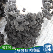 �ڰ�Ģ���Nֲ�������N����Ģ��ʳ�ð����]�҃�Ģ��