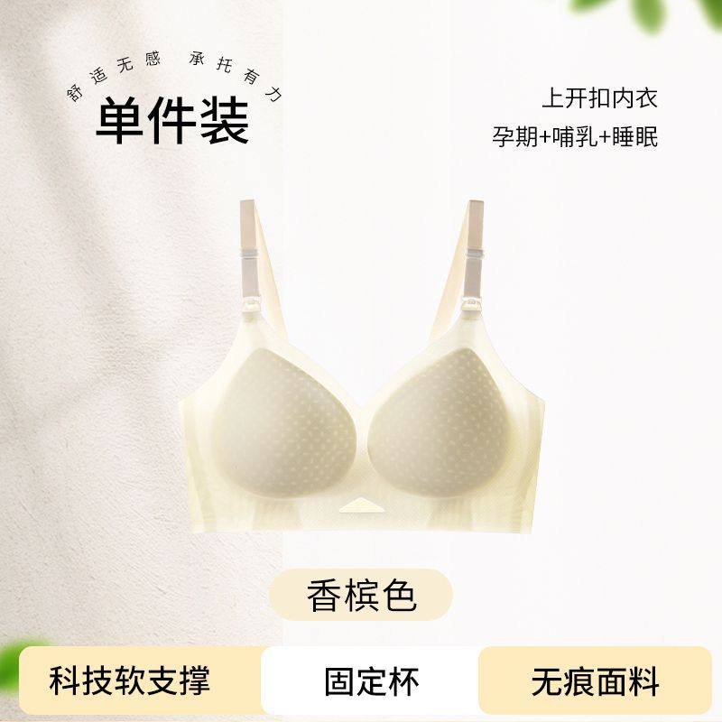 샴페인