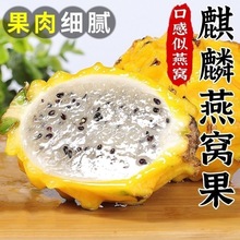 ���r�SƤ������������C��������S�����Fժ�����ЋDˮ��������