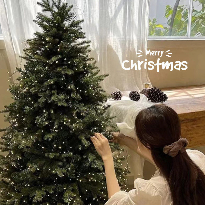 Árbol de Navidad paquete de material DIY decoración del árbol de Navidad PE traje de cifrado decoración de Navidad hogar grande nuevo