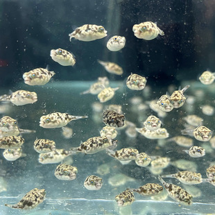 ���R���^���w�^�p�~��ˮ�������͟Ꭷ�~���ں��~��Ұ�������M��