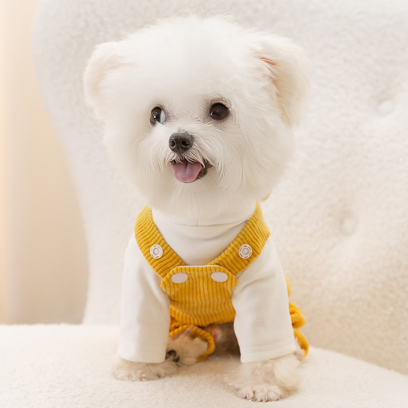 Estilo coreano Otoño e Invierno perro oso lindo mono de pana traje mascota gato de cuatro patas ropa para perros